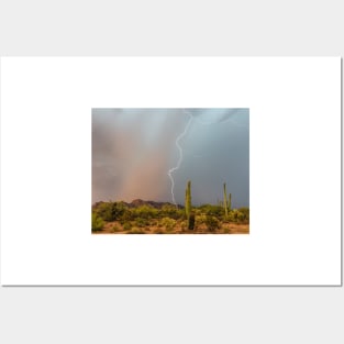 Saguaro National Park Posters and Art